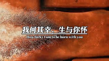 暴走小飞机
